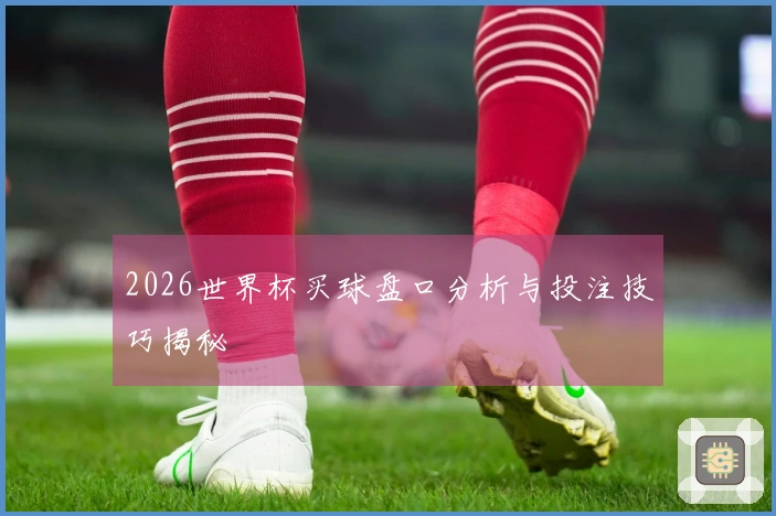2026世界杯买球盘口分析与投注技巧揭秘