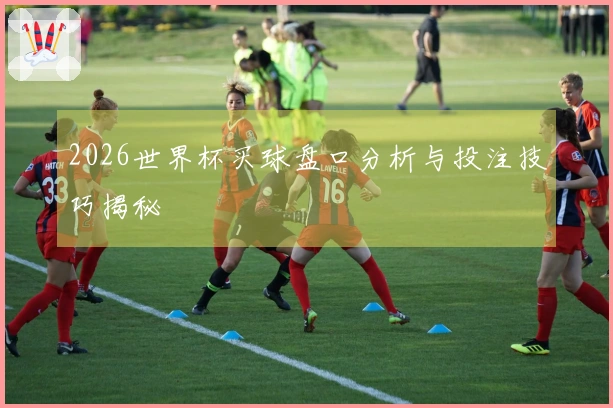 2026世界杯买球盘口分析与投注技巧揭秘