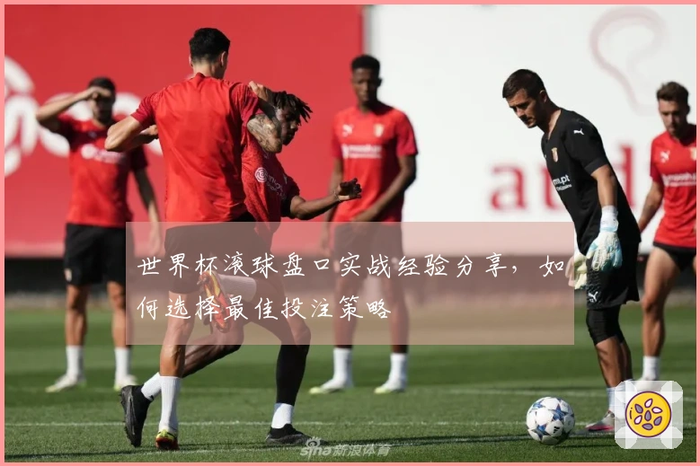 世界杯滚球盘口实战经验分享，如何选择最佳投注策略