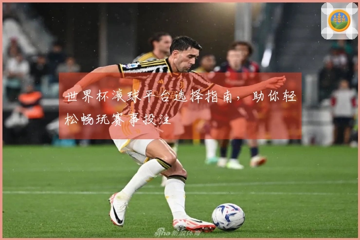 世界杯滚球平台选择指南，助你轻松畅玩赛事投注