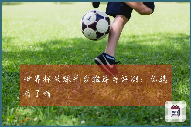 世界杯买球平台推荐与评测，你选对了吗