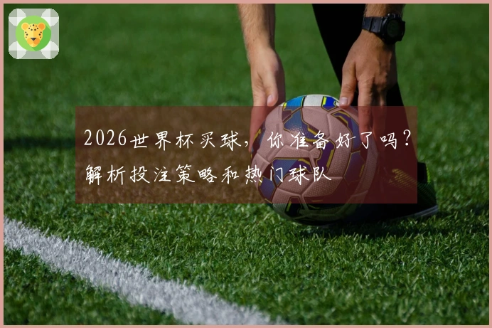 2026世界杯买球，你准备好了吗？解析投注策略和热门球队