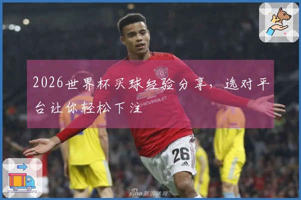 2026世界杯买球经验分享，选对平台让你轻松下注