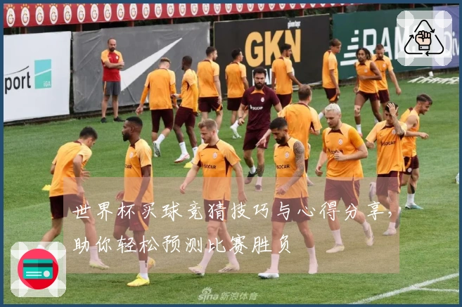 世界杯买球竞猜技巧与心得分享，助你轻松预测比赛胜负