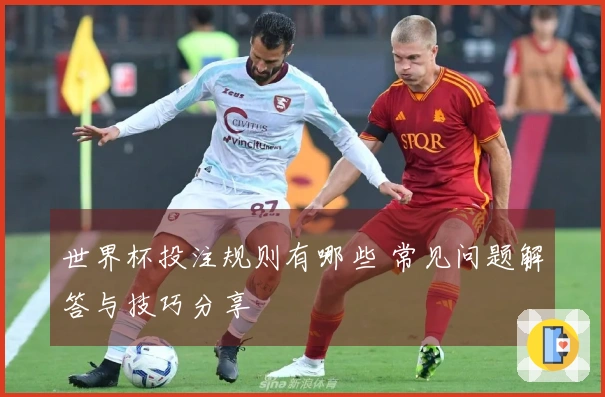 世界杯投注规则有哪些 常见问题解答与技巧分享