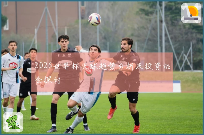 2026世界杯买球趋势分析及投资机会探讨