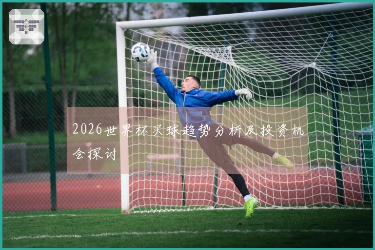 2026世界杯买球趋势分析及投资机会探讨