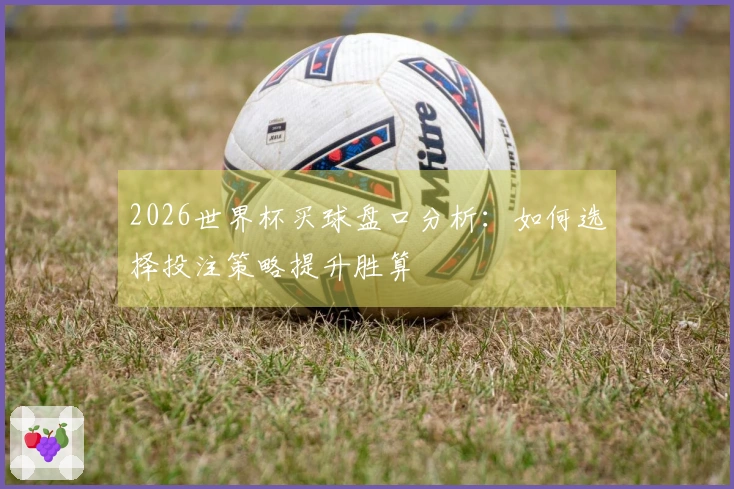 2026世界杯买球盘口分析：如何选择投注策略提升胜算