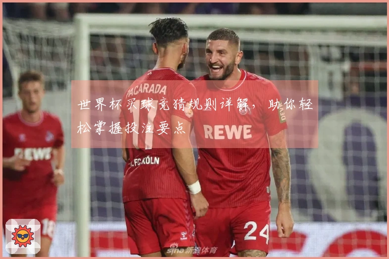 世界杯买球竞猜规则详解,助你轻松掌握投注要点