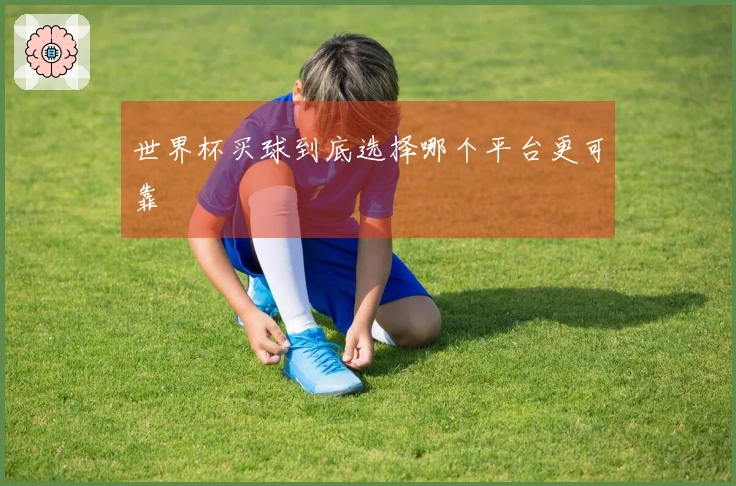 世界杯买球到底选择哪个平台更可靠