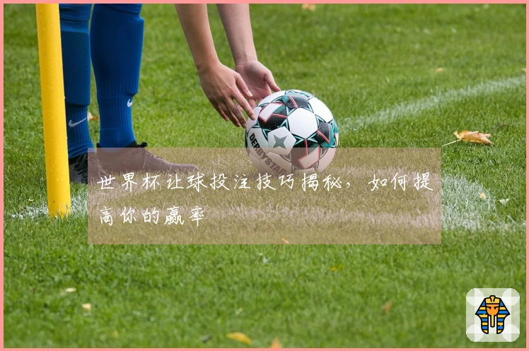 世界杯让球投注技巧揭秘，如何提高你的赢率