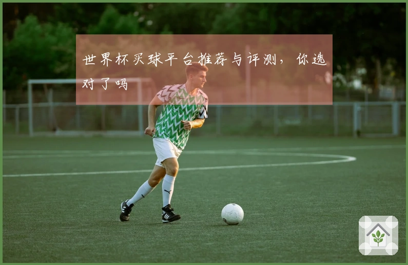 世界杯买球平台推荐与评测，你选对了吗