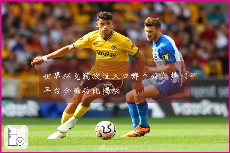 世界杯竞猜投注入口哪个好?热门平台全面对比揭秘