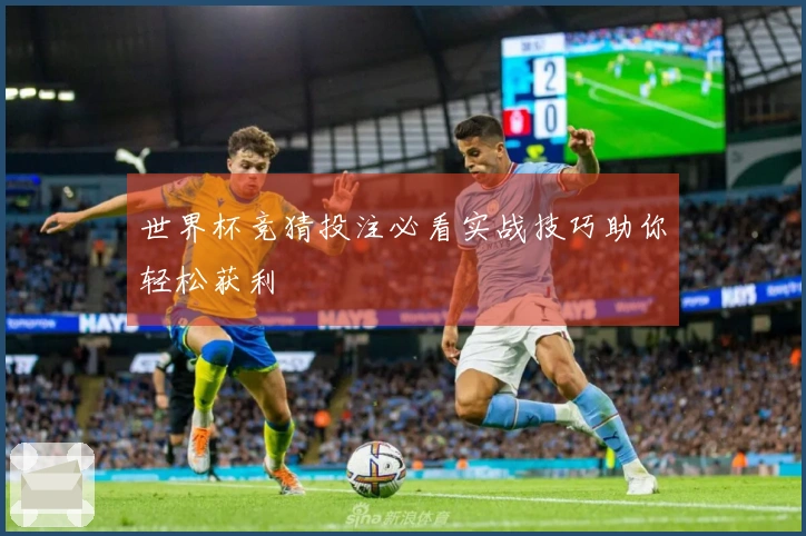 世界杯竞猜投注必看实战技巧助你轻松获利
