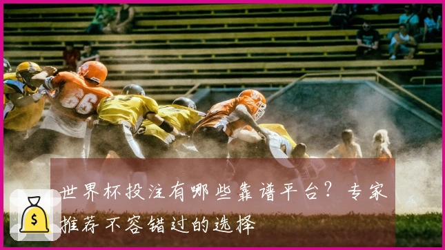 世界杯投注有哪些靠谱平台？专家推荐不容错过的选择