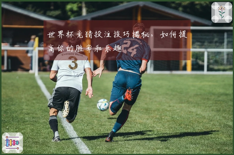 世界杯竞猜投注技巧揭秘，如何提高你的胜率和乐趣