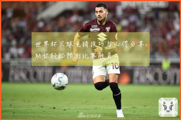 世界杯买球竞猜技巧与心得分享，助你轻松预测比赛胜负