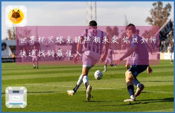 世界杯买球竞猜热潮来袭 你该如何快速找到最佳入口